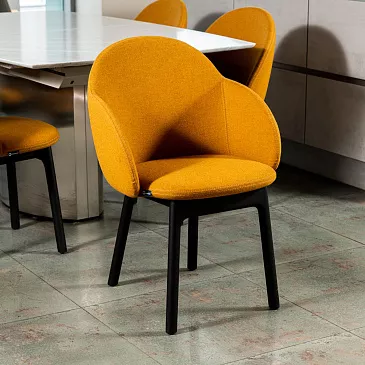Фото Стул Iola with armrest от Miniforms