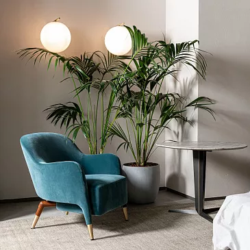 Фото Кресло D.151.4 GIO PONTI от Molteni & C